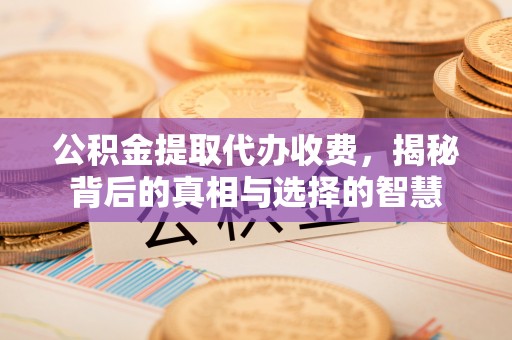 归仁公积金提取代办收费，揭秘背后的真相与选择的智慧
