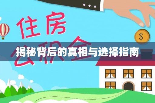 归仁揭秘背后的真相与选择指南