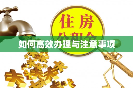 归仁如何高效办理与注意事项