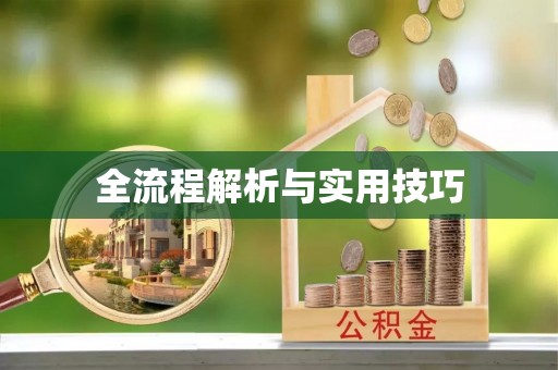 归仁全流程解析与实用技巧