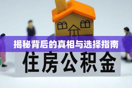 归仁揭秘背后的真相与选择指南