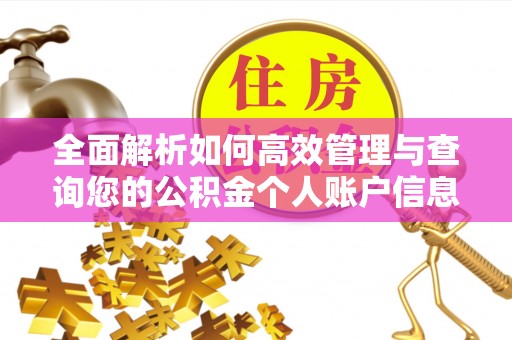归仁全面解析如何高效管理与查询您的公积金个人账户信息