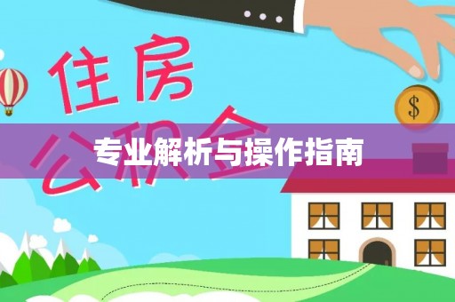 归仁专业解析与操作指南