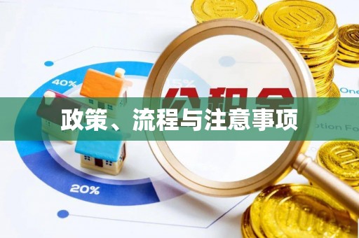 归仁政策、流程与注意事项
