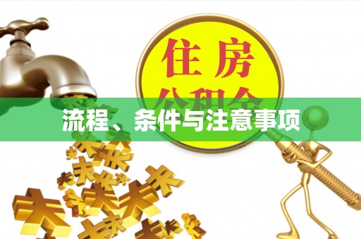 归仁流程、条件与注意事项